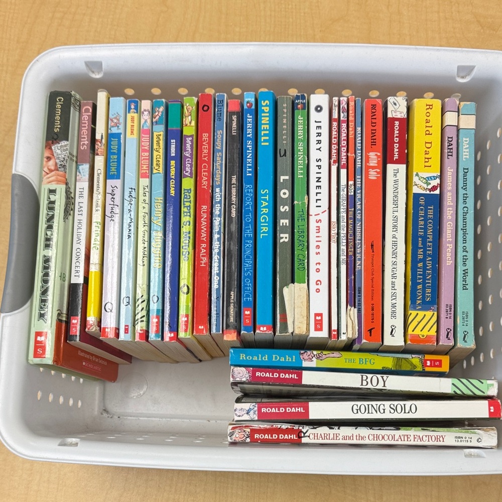 Bundle of 30 Paperback Books for children- various favorite authors